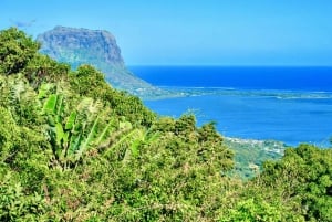 Mauritius: tour privato di un'intera giornata a sud dell'isola