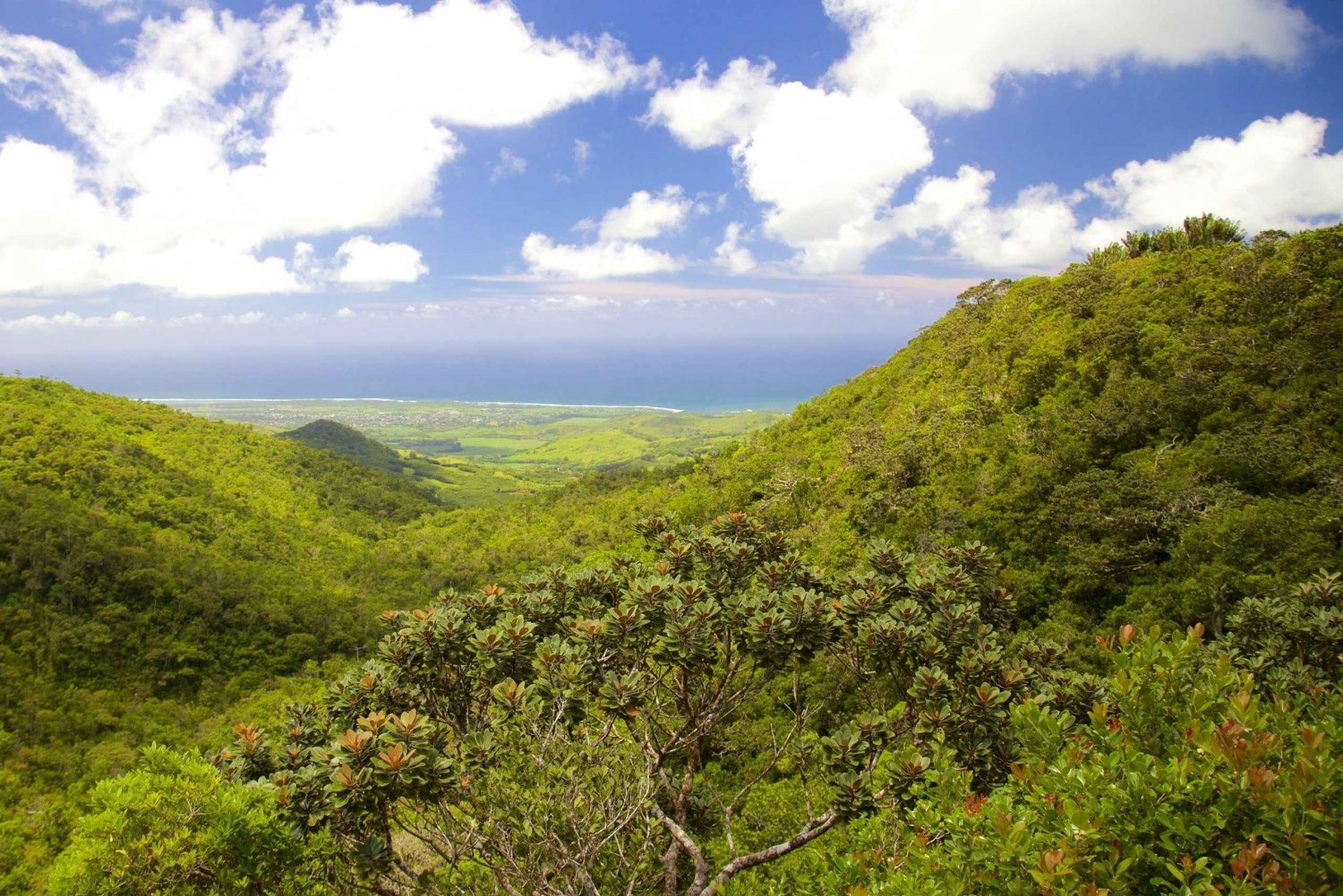 Mauritius: Sør-tur