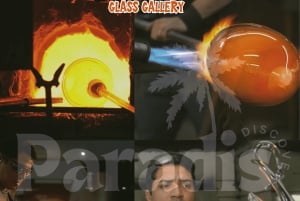 Mauritius: 5 itäisen saaren pikavene-kierros grilliruoan kera