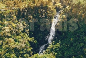 Mauritius: 5 itäisen saaren pikavene-kierros grilliruoan kera