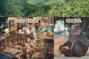 Mauritius: 5 itäisen saaren pikavene-kierros grilliruoan kera