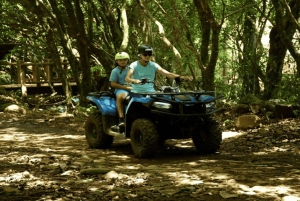 Mauricio: Tour Privado Exclusivo por el Sur con la Playa de Le Morne