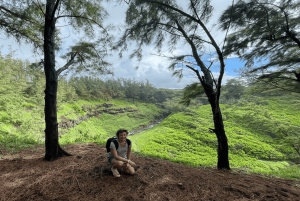Mauricio: Tour Privado Exclusivo por el Sur con la Playa de Le Morne