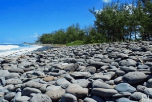 Mauricio: Tour Privado Exclusivo por el Sur con la Playa de Le Morne
