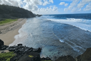 Mauricio: Tour Privado Exclusivo por el Sur con la Playa de Le Morne