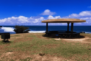Mauricio: Tour Privado Exclusivo por el Sur con la Playa de Le Morne