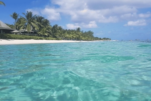Mauricio: Tour Privado Exclusivo por el Sur con la Playa de Le Morne