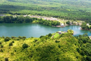 Maurice : Visite de l'île du Sud avec vignobles et chutes d'eau