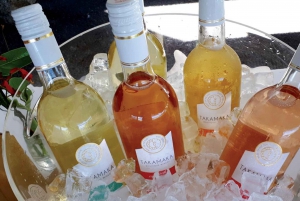 Maurice : Visite de l'île du Sud avec vignobles et chutes d'eau
