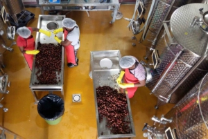 Maurice : Visite de l'île du Sud avec vignobles et chutes d'eau