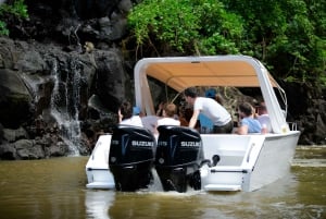 Mauritius: Motoscafo Ile aux Cerfs, Cascata GRSE, BBQ, Bar