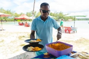 Mauritius: Motoscafo Ile aux Cerfs, Cascata GRSE, BBQ, Bar