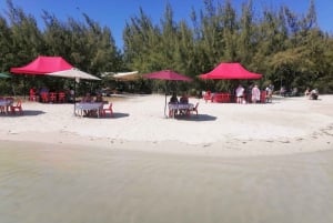 Mauritius: Motoscafo Ile aux Cerfs, Cascata GRSE, BBQ, Bar