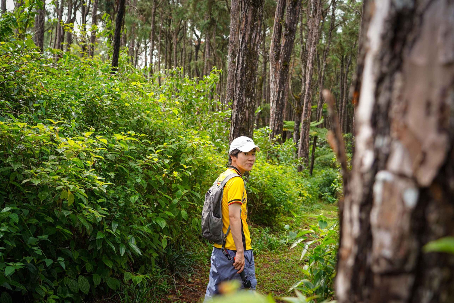 Mauritius: Sunrise Mountain Hike with Southwest Road-trip