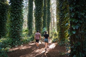 Mauritius: Sunrise Mountain Hike with Southwest Road-trip