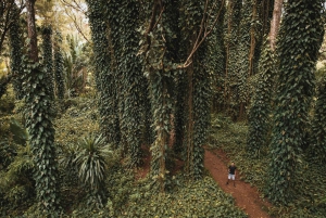 Mauritius: Sunrise Mountain Hike with Southwest Road-trip