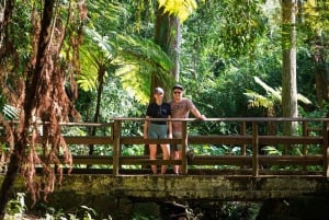 Mauritius: Sunrise Mountain Hike with Southwest Road-trip