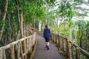 Mauritius: Sunrise Mountain Hike with Southwest Road-trip