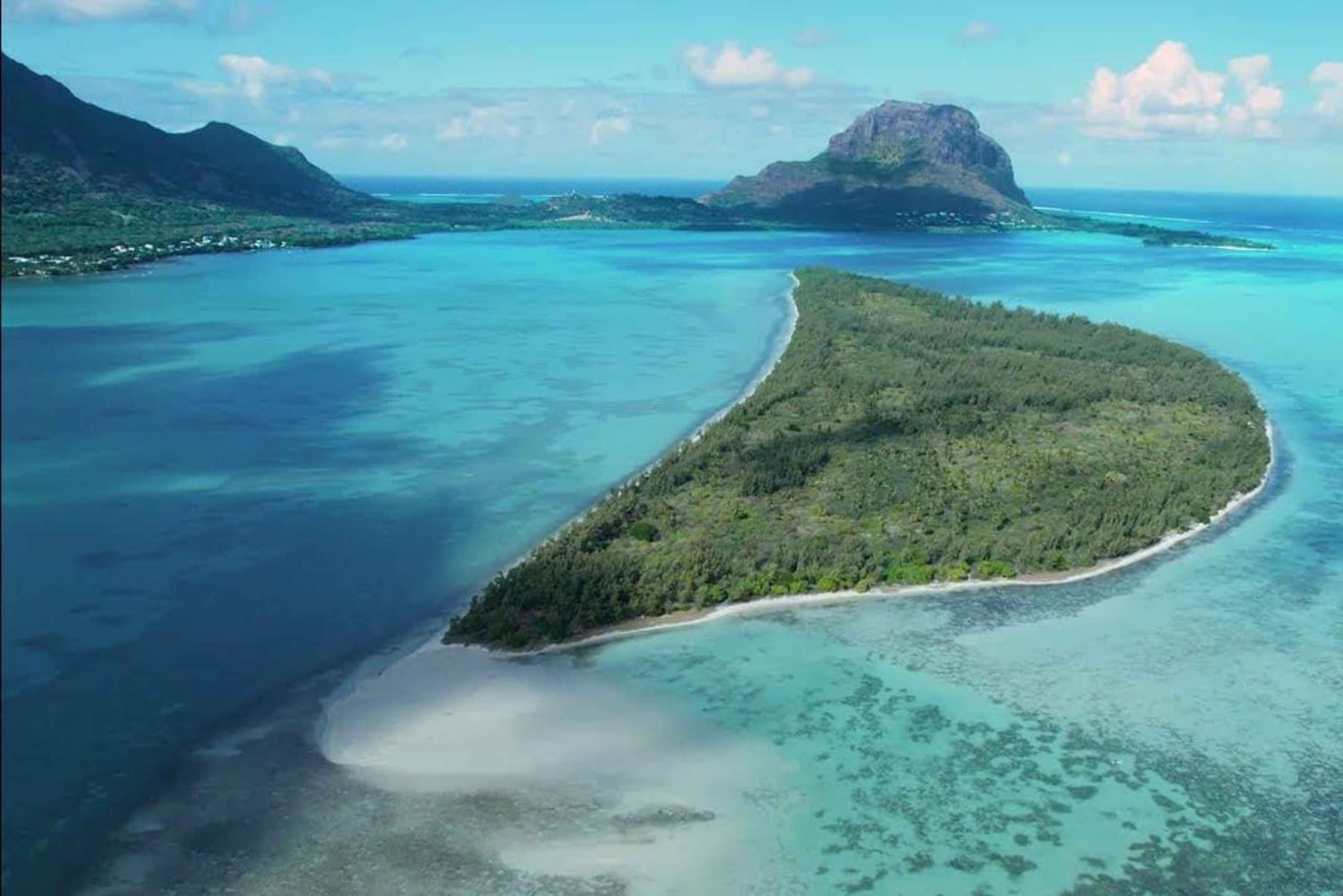 Mauritius: Zwemmen met dolfijnen Hele dag met lunch/drankjes
