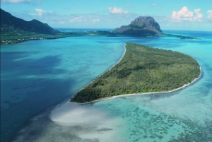 Mauritius: Svøm med delfiner hele dagen med lunsj/drikke