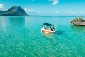 Mauritius: Svøm med delfiner hele dagen med lunsj/drikke