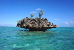 Mauritius: Zwemmen met dolfijnen Hele dag met lunch/drankjes