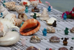 Mauritius: Zwemmen met dolfijnen Hele dag met lunch/drankjes