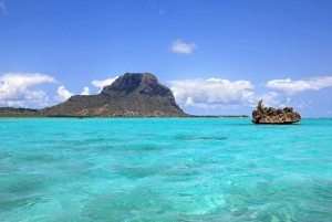 Mauritius: Zwemmen met dolfijnen Hele dag met lunch/drankjes
