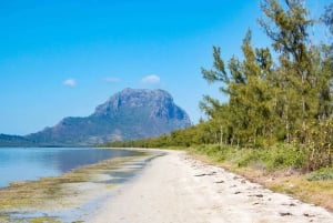 Mauritius: Zwemmen met dolfijnen Hele dag met lunch/drankjes