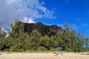 Mauritius: Tamarin Bay, Black River Gorges ja Chamarel -kierros