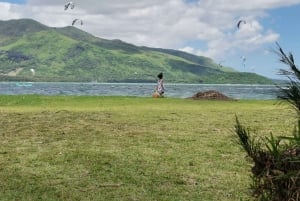 Mauritius: Tamarin Bay, Black River Gorges ja Chamarel -kierros
