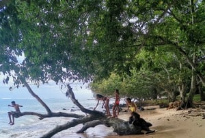 Mauritius: Tamarin Bay, Black River Gorges ja Chamarel -kierros