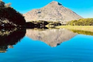 Mauritius: Tamarin Bay Dolphin Watching Kayak Tour