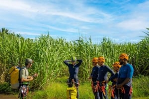 Mauritius: Tamarind Falls Canyoning Adventure