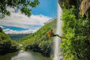 Mauritius: Tamarind Falls Canyoning Adventure