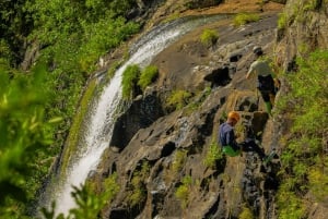 Mauritius: Tamarind Falls Canyoning Adventure