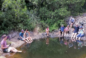 Mauritius: Tamarind Falls Guided Hike with Swim and Lunch