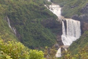 Mauritius: Geführte Wanderung zu den Tamarinden-Wasserfällen mit Schwimmen