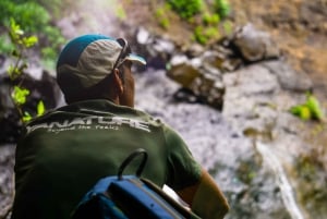 Tamarind Falls Highlights 3-Hour Hiking Trip