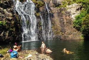 Mauritius: Tamarind Falls Highlights 3-Hour Hiking Trip