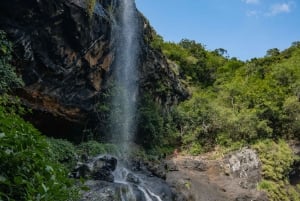 Mauritius: Tamarind Falls Highlights 3-Hour Hiking Trip
