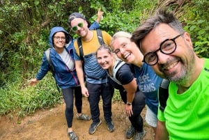 Mauricio: Ruta de senderismo por las cascadas emblemáticas + picnic mauriciano