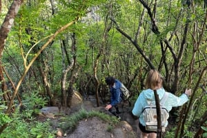 Mauricio: Ruta de senderismo por las cascadas emblemáticas + picnic mauriciano