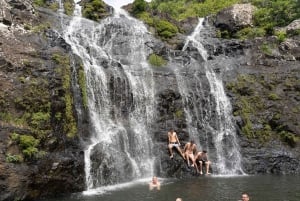 Mauricio: Ruta de senderismo por las cascadas emblemáticas + picnic mauriciano
