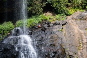 Mauricio: Ruta de senderismo por las cascadas emblemáticas + picnic mauriciano