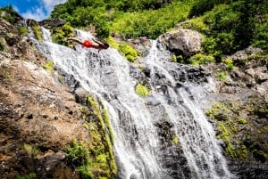 Mauricio: Ruta de senderismo por las cascadas emblemáticas + picnic mauriciano