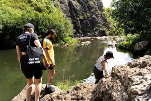 Mauricio: Ruta de senderismo por las cascadas emblemáticas + picnic mauriciano