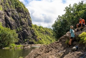 Mauricio: Ruta de senderismo por las cascadas emblemáticas + picnic mauriciano
