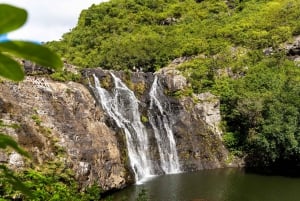 Mauricio: Ruta de senderismo por las cascadas emblemáticas + picnic mauriciano