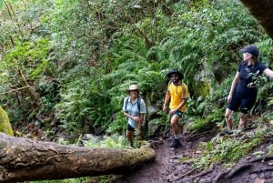 Mauricio: Ruta de senderismo por las cascadas emblemáticas + picnic mauriciano